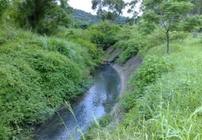 polluted-streams-to-healthy-eco-zones-after